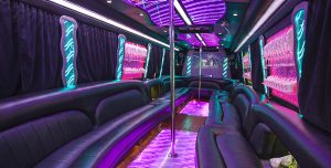 20 PASSENGER PARTY BUS BACHELORETTE PARTY SERVICE, High school, Party Bus, Shuttle, Charter, Birthday, Prom, Bachelor, Wedding, Nightlife, Birthday