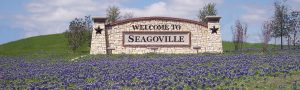 Seagoville Limo Rental Services Company, DFW, Limousine, Party Bus, Shuttle, Charter, Birthday, Wedding, Bachelor Party, Bachelorette, Nightlife, Sports, Cowboys, Rangers, Mavericks